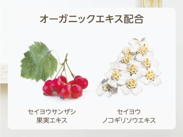 _オーガニックエキス配合 【ホテルアメニティ新発売】ふんわり泡で上質なおもてなし「セレニー泡ボディソープ」ホワイトティーの香り
