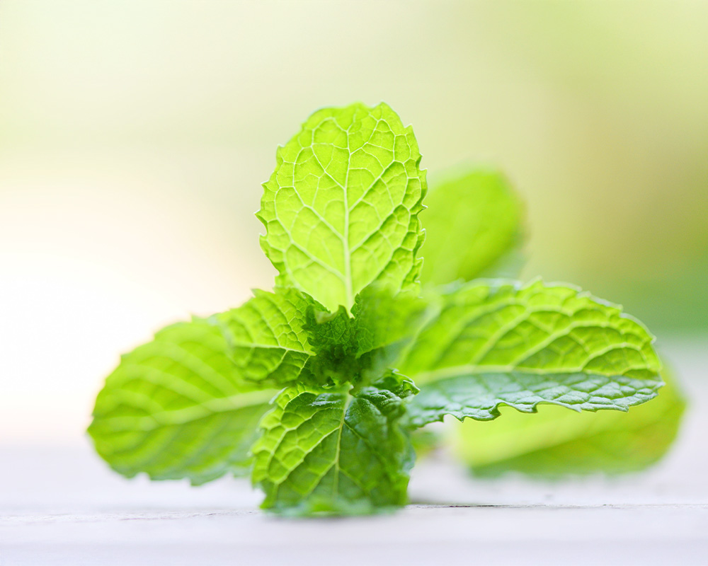  小さな気配りが伝わるアメニティ｜マウスウォッシュ ビーフレッシュ