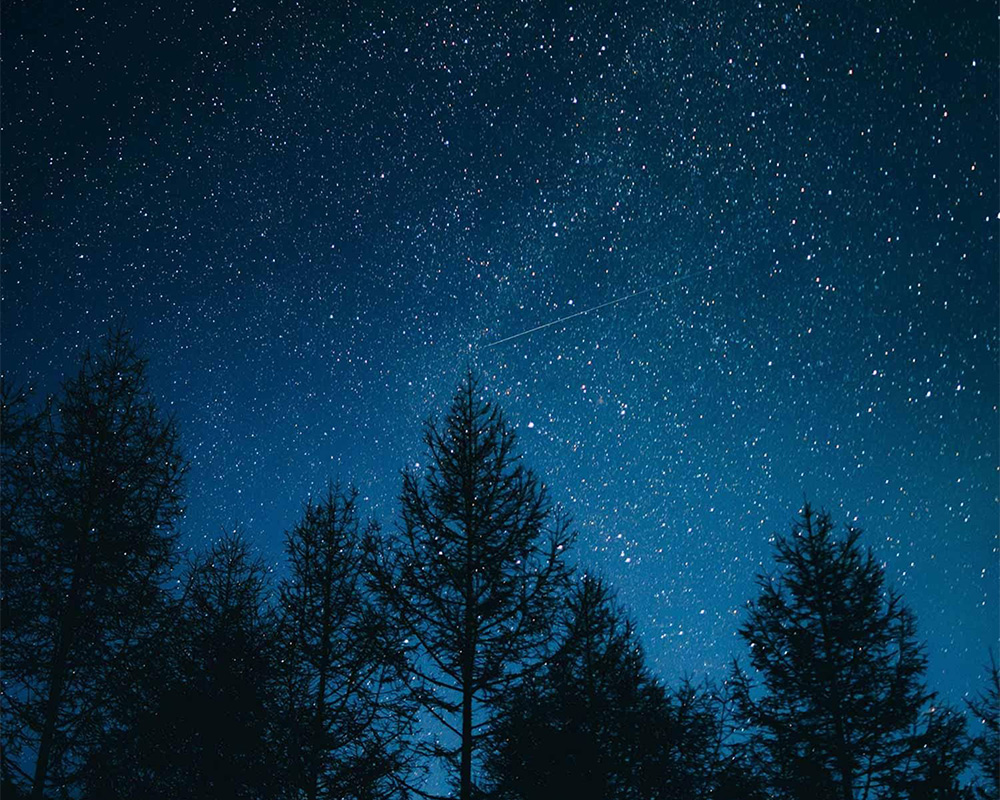 GemiDリニューアル_フリー処方 ホテルの滞在体験を格上げ|GemiDブランドリニューアル