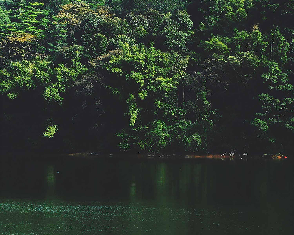 GemiDリニューアル_日本製 ホテルの滞在体験を格上げ|GemiDブランドリニューアル