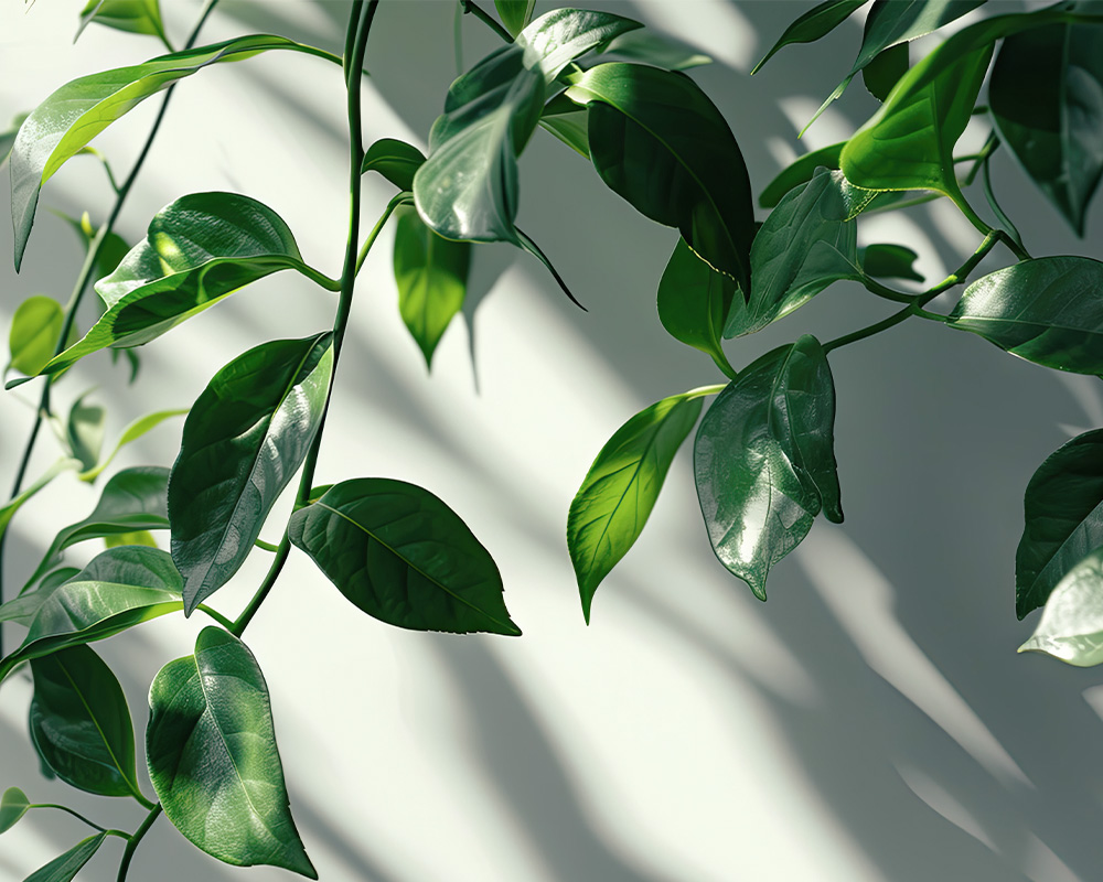 _ボタニカルイメージ ホテルアメニティの統一感で満足度向上｜ハンドソープ追加で完成する客室演出