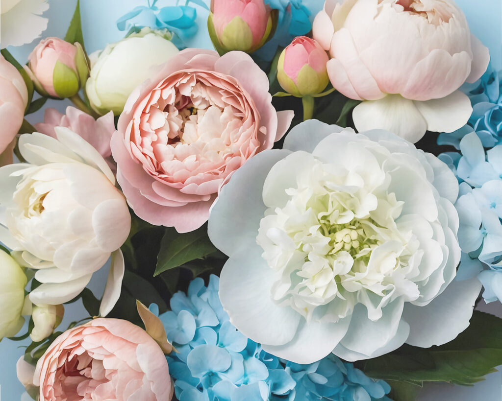 _フローラルの香り-1024x819 梅雨・夏の“ニオイ対策”できていますか？温浴施設におすすめの炭インバスシリーズ